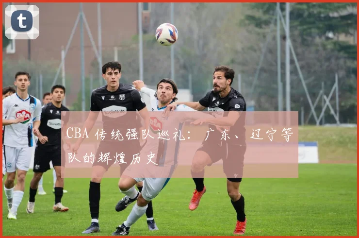 CBA 传统强队巡礼:广东、辽宁等队的辉煌历史