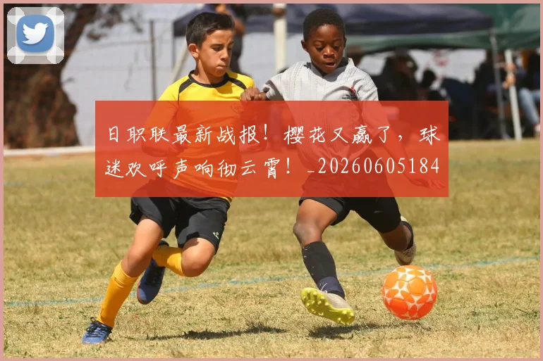 日职联最新战报!樱花又赢了,球迷欢呼声响彻云霄!_20260605184437