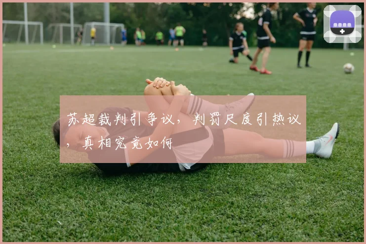 苏超裁判引争议,判罚尺度引热议,真相究竟如何