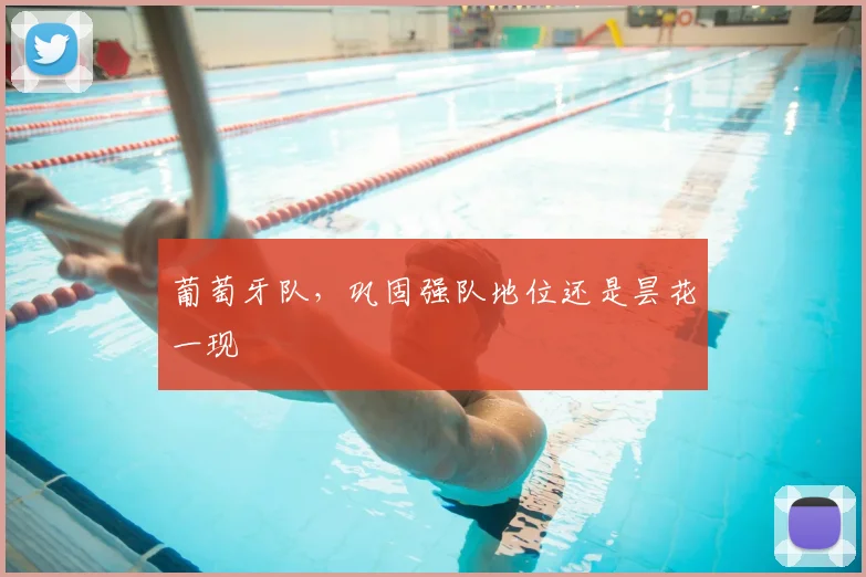 葡萄牙队,巩固强队地位还是昙花一现
